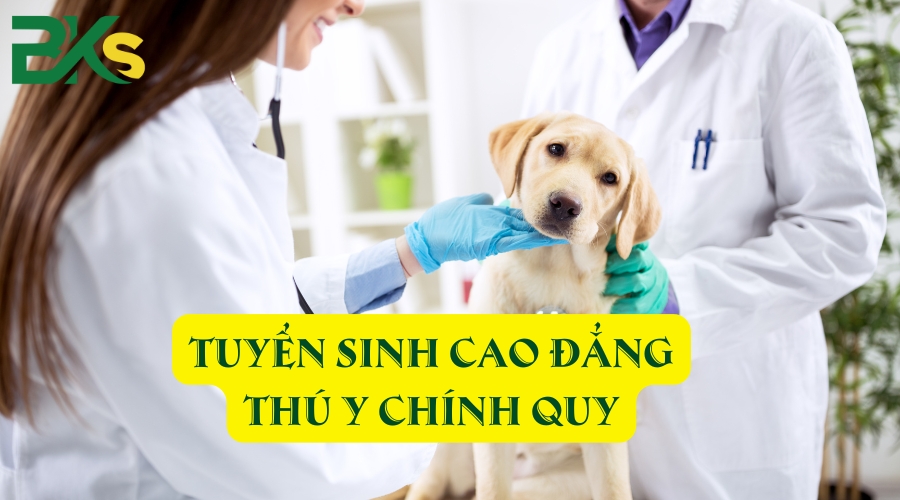 Tuyển sinh Cao đẳng Thú y chính quy