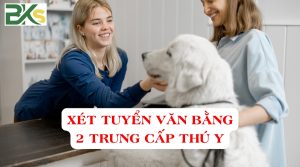 Xét tuyển văn bằng 2 Trung cấp Thú Y