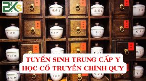 Tuyển sinh Trung cấp Y học cổ truyền chính quy