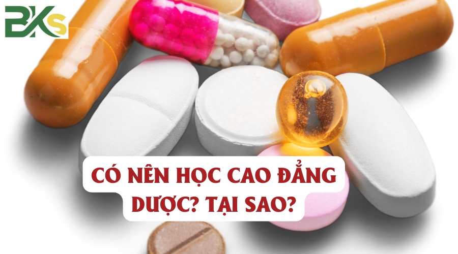 Có nên học Cao đẳng Dược? Tại sao?