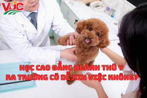 Học Cao Đẳng Ngành Thú Y ra trường có dễ xin việc không?