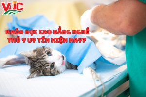 Khóa Học Cao Đẳng Nghề Thú Y uy tín hiện nay? 