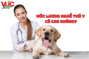 Mức Lương Nghề Thú Y có cao không?