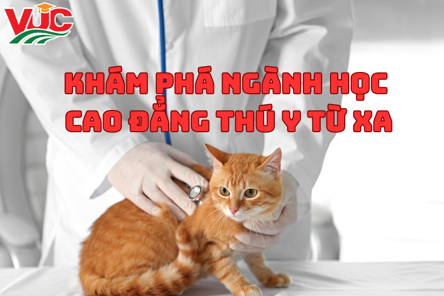 Khám Phá Ngành Học Cao Đẳng Thú Y Từ Xa