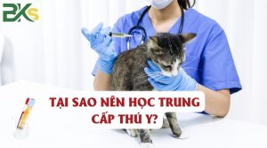 Tại sao nên học Trung cấp Thú y?