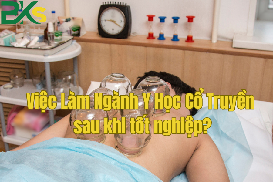 Việc Làm Ngành Y Học Cổ Truyền sau khi tốt nghiệp?