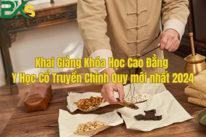 Khai Giảng Khóa Học Cao Đẳng Y Học Cổ Truyền Chính Quy mới nhất 2024