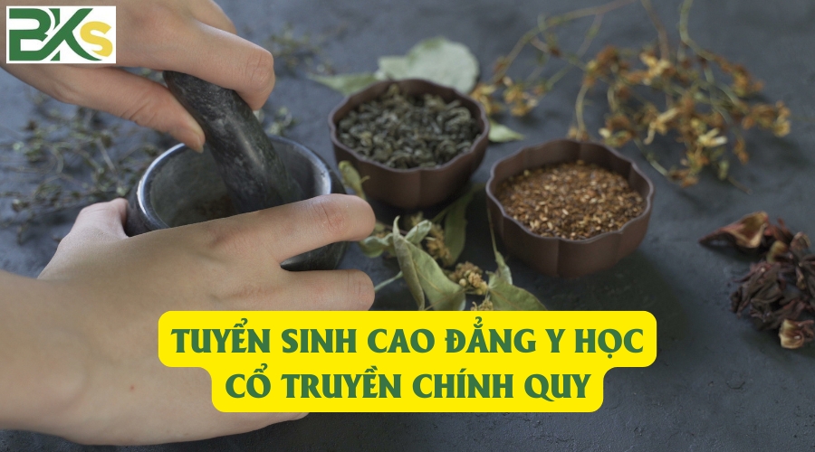 Tuyển sinh Cao đẳng Y học cổ truyền chính quy