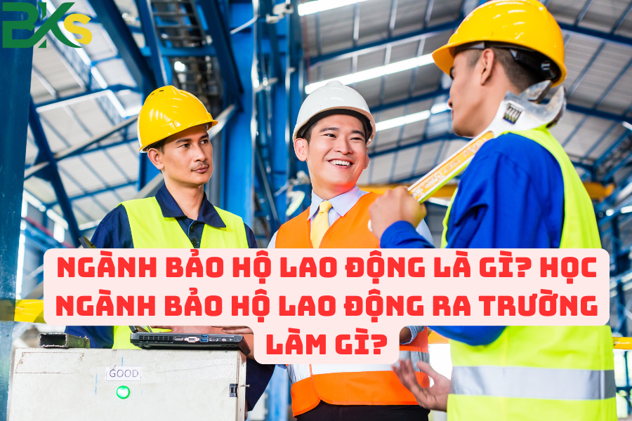 Ngành Bảo Hộ Lao Động là gì? Học Ngành Bảo Hộ Lao Động ra trường làm gì? 