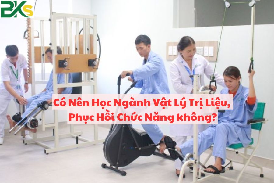 Có Nên Học Ngành Vật Lý Trị Liệu, Phục Hồi Chức Năng không?