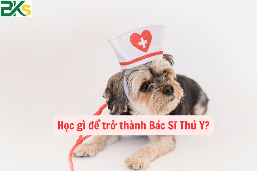 Học gì để trở thành Bác Sĩ Thú Y?