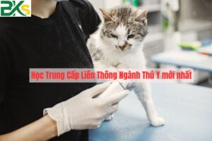 Học Trung Cấp Liên Thông Ngành Thú Y mới nhất