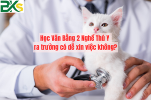 Học Văn Bằng 2 Nghề Thú Y ra trường có dễ xin việc không?