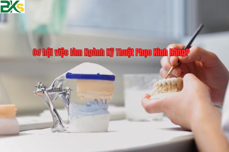 Cơ hội việc làm Ngành Kỹ Thuật Phục Hình Răng?