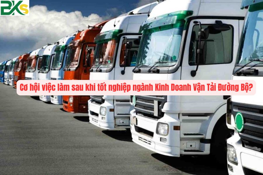 Cơ hội việc làm sau khi tốt nghiệp ngành Kinh Doanh Vận Tải Đường Bộ?