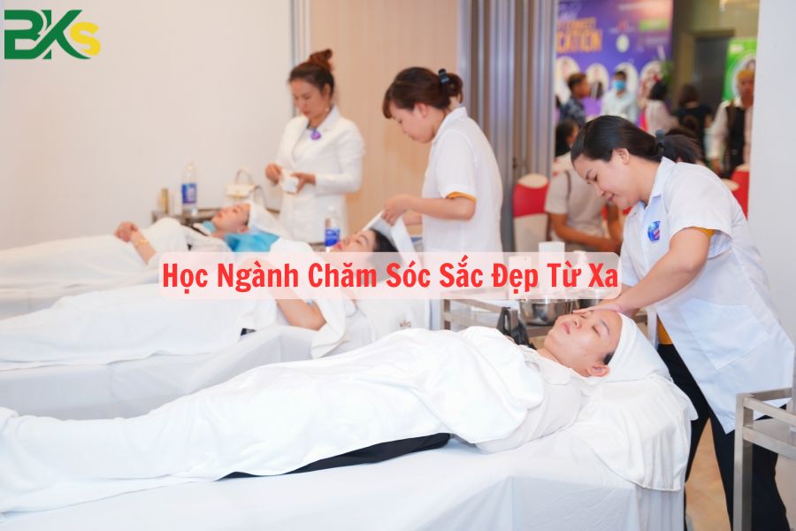 Học Ngành Chăm Sóc Sắc Đẹp Từ Xa