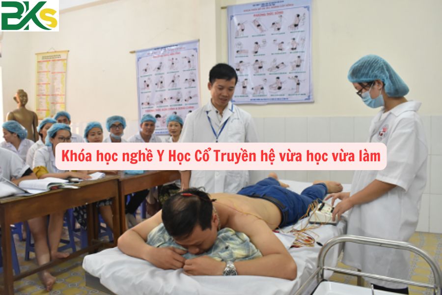 Khóa học nghề Y Học Cổ Truyền hệ vừa học vừa làm