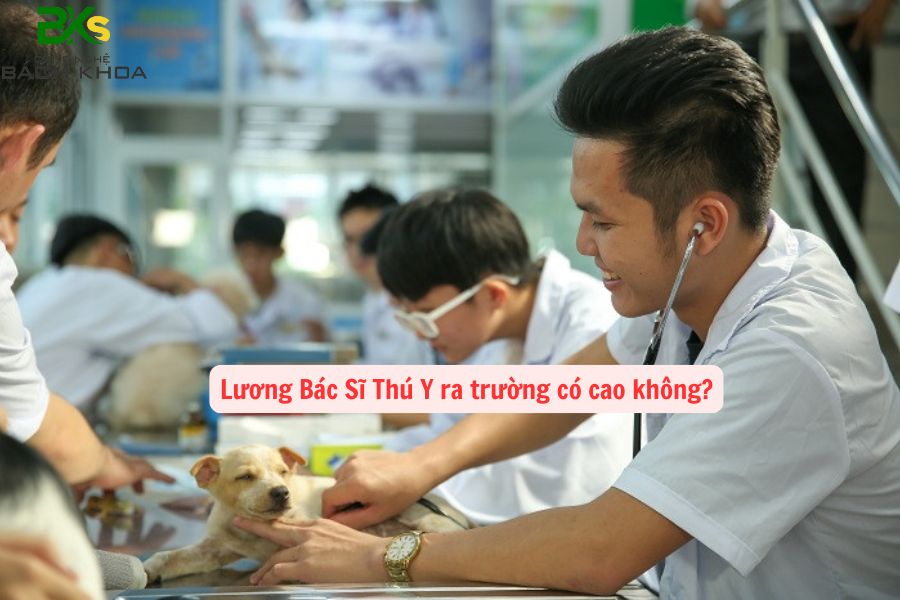 Lương Bác Sĩ Thú Y ra trường có cao không?