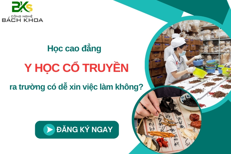 Học cao đẳng Y học cổ truyền ra trường có dễ xin việc làm không