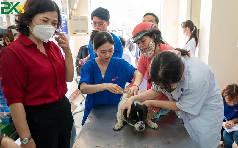 Học phí khóa học Cao đẳng thú y phù hợp với mọi đối tượng 