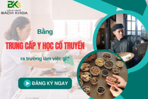 Bằng trung cấp Y học Cổ truyền ra trường làm việc gì