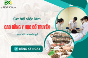 Cơ hội việc làm Cao đẳng Y học Cổ truyền sau khi ra trường?