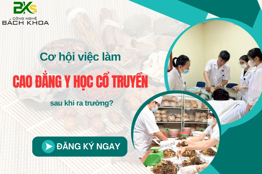 Cơ hội việc làm Cao đẳng Y học Cổ truyền sau khi ra trường?