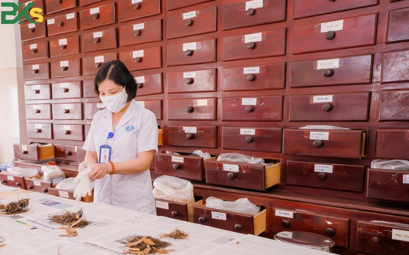 Học Cao đẳng Y học cổ truyền xong ra trường có thể làm gì?