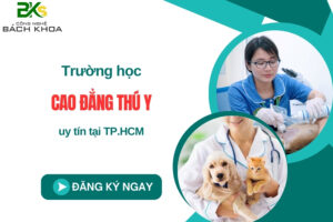 Trường học Cao đẳng Thú y uy tín tại TP.HCM