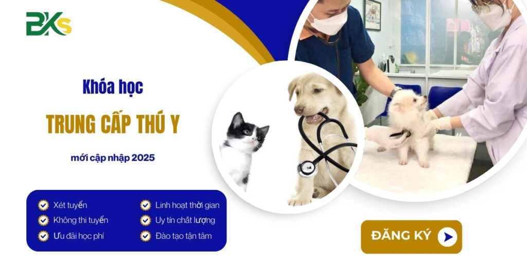 Khóa học Trung cấp Thú y mới cập nhập 2025