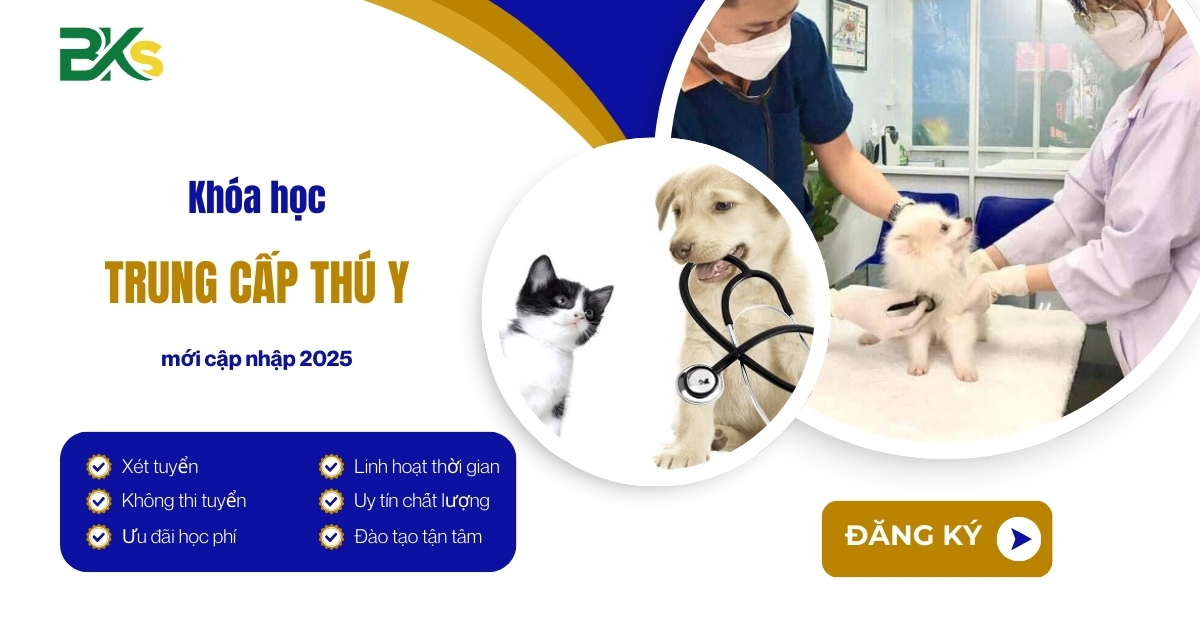 Khóa học Trung cấp Thú y mới cập nhập 2025
