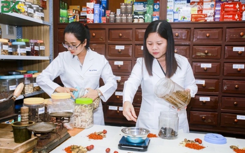 Trường học trung cấp Y học Cổ truyền tốt nhất tại TP.HCM? 6 Trường học trung cấp y học cổ truyền uy tín tại TP.HCM?