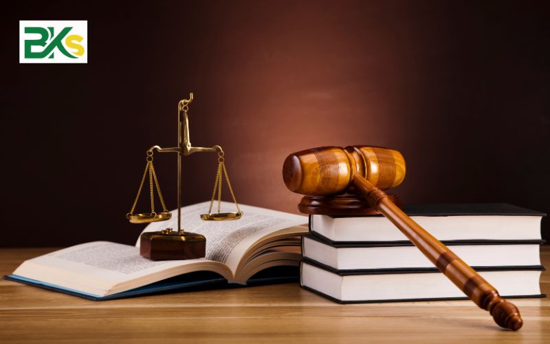 Tuyển Sinh Trung Cấp Dịch Vụ Pháp Lý - Xét tuyển Học Bạ Từ Xa 2 Tìm hiểu chung về ngành Trung cấp Pháp luật