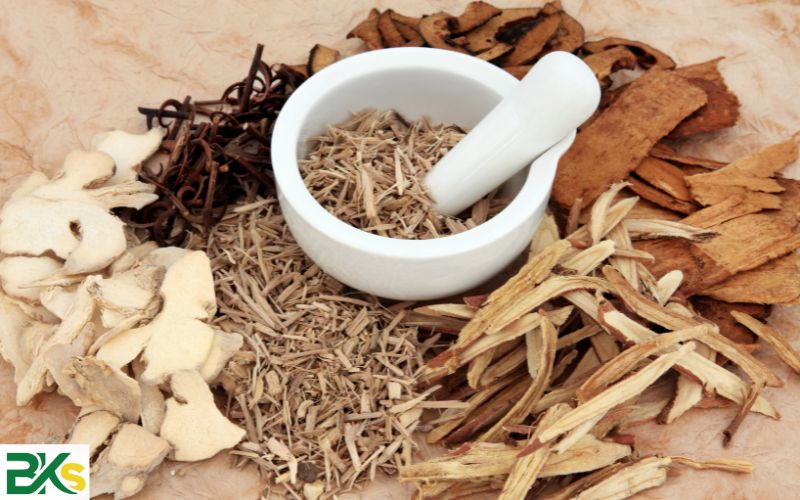 Mục tiêu đào tạo Trung cấp Y học cổ truyền