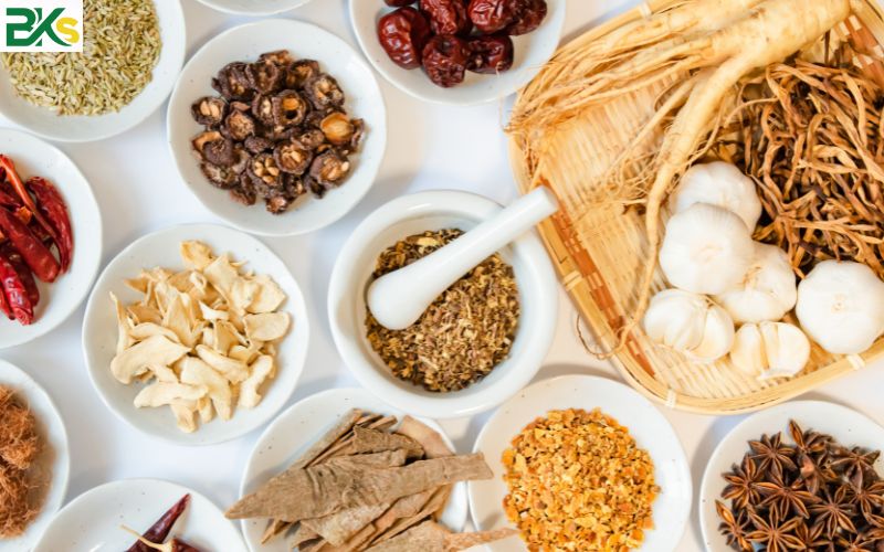 Tại sao nên học Trung cấp Y học cổ truyền ở Trường Trung cấp Công Nghệ Bách Khoa?