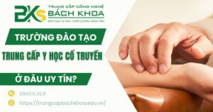 Trường đào tạo Trung cấp Y học cổ truyền hiện nay