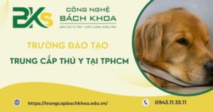 Các Trường Trung cấp Thú y ở TPHCM