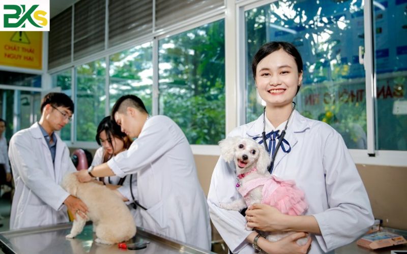 Khóa học Trung cấp Thú Y