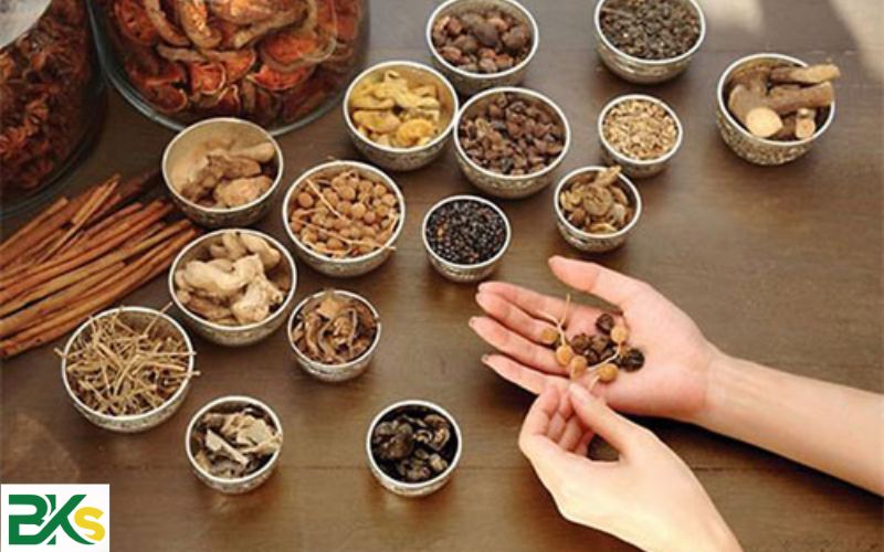Tuyển sinh Trung cấp Y học cổ truyền Cấp tốc mới nhất 6 Tìm hiểu chung về Trung cấp Y học cổ truyền cấp tốc