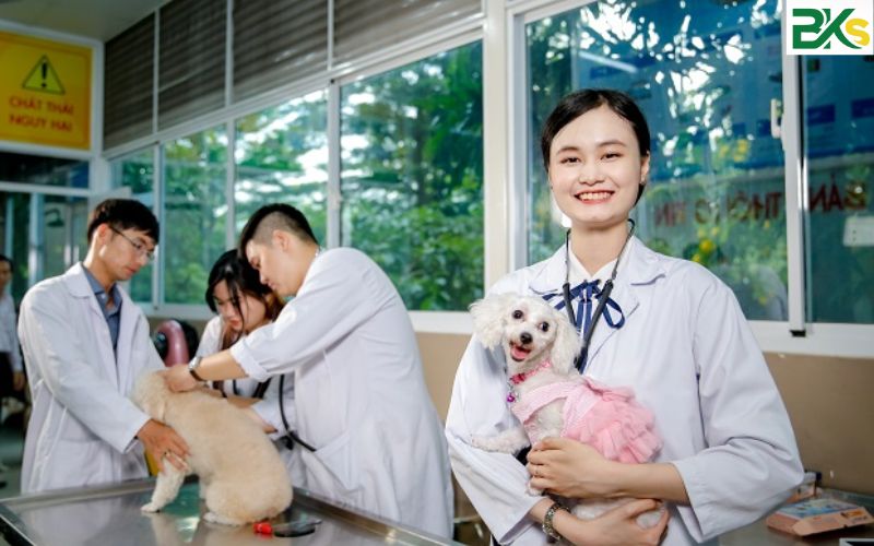 Cơ hội việc làm sau khi tốt nghiệp Trung cấp ngành Thú Y 