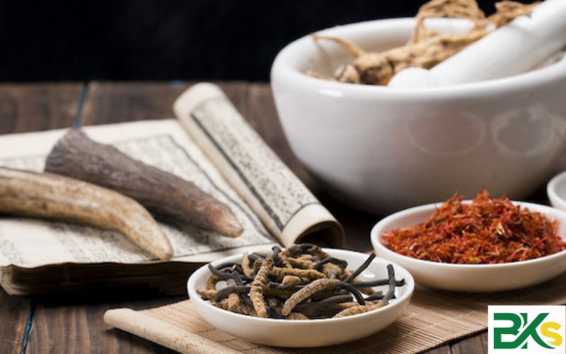 Ngành Y học cổ truyền là gì?