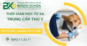 Thời gian học Trung cấp Thú y Từ xa mất bao lâu?
