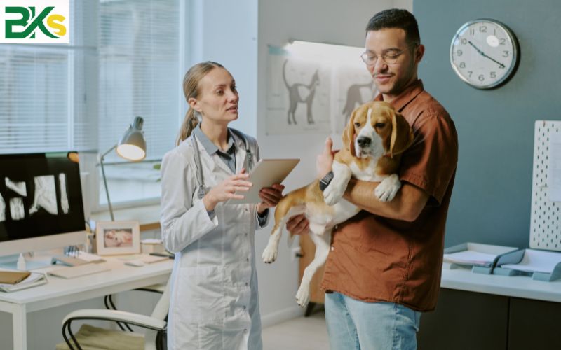 Thời gian học Trung cấp Thú y Từ xa tại BKs