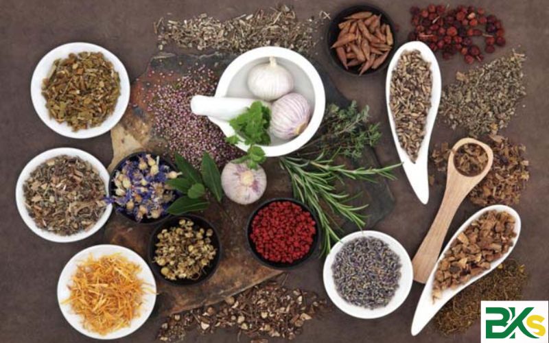 Tiêu chí trường Trung cấp Y học cổ truyền HCM uy tín nhất