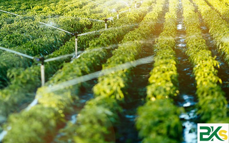 Trung cấp Trồng trọt và bảo vệ thực vật là gì?