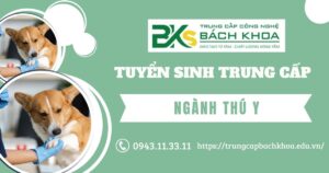 Tuyển sinh Trung cấp ngành Thú Y tại Bình Phước