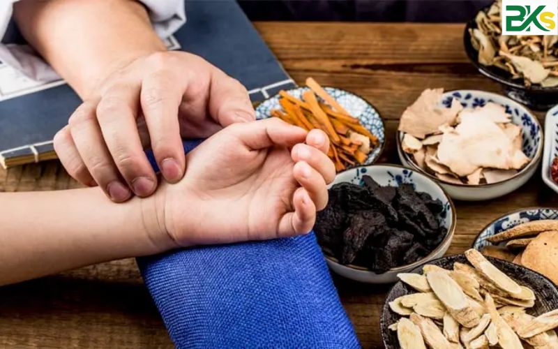 Vậy ở TP.HCM thì đâu là nơi đáng để học Trung cấp Y học cổ truyền?