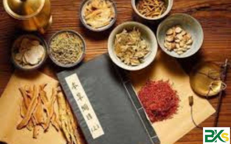 Chương trình học Trung cấp ngành Y học cổ truyền Online