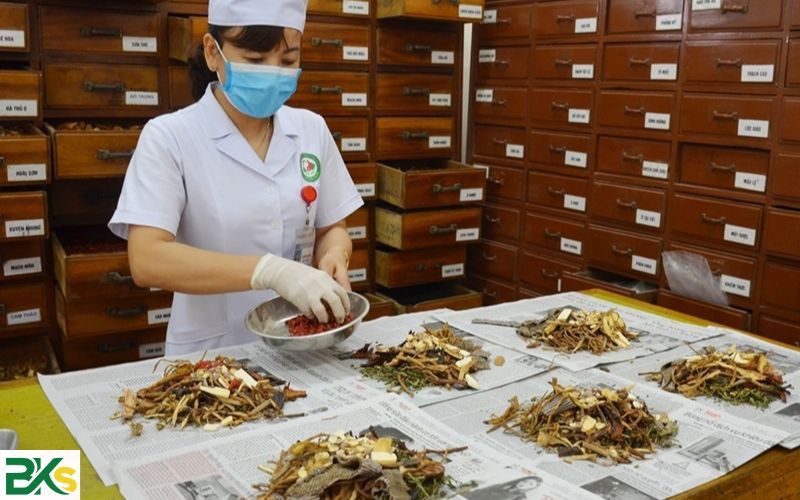 Chương trình Trung cấp Y học cổ truyền học gì? 6 Học Trung cấp Y học cổ truyền ra trường làm ở đâu?