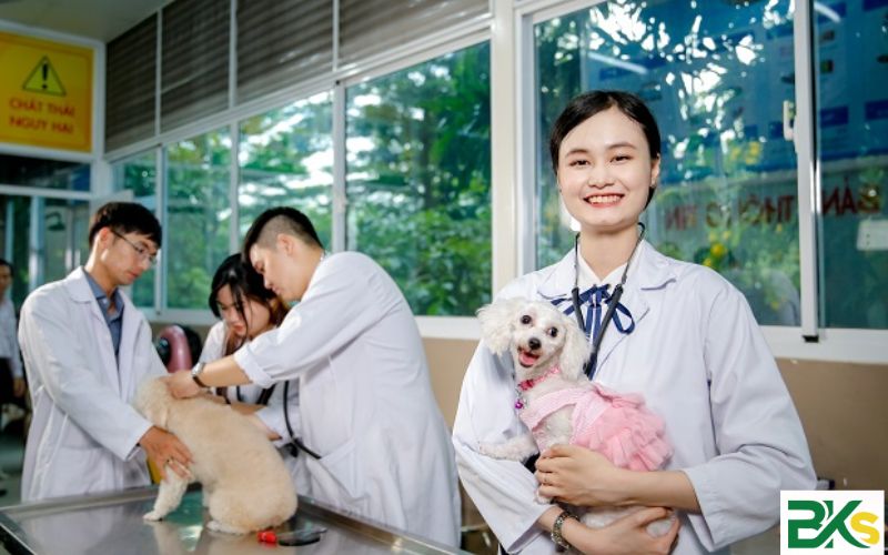 Vì sao nên học Trung cấp Thú Y?